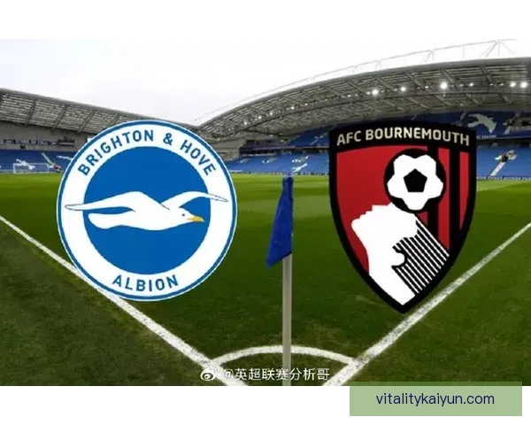 布莱顿本赛季英超表现稳健，竞争力持续提升